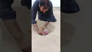 extracting mini camel under the sand of desert #lifehacks #survival #outdoors #funny  #camping #toys