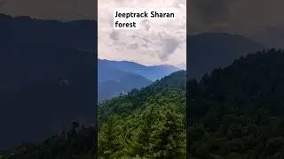 jeep track| jeep track Sharan forest |Sharan forest Paras #sharanforest #shortsfeed #ytshort
