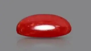 Buy Red Coral |  Buy Moonga Stone | Red Coral buy online | Wholesaler Red coral |www.smglgroup.com