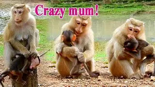 Adorable baby REX is making mum ROSE very angry like crazy!