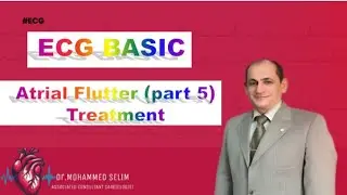 A trial Flutter Part 5 (treatment)