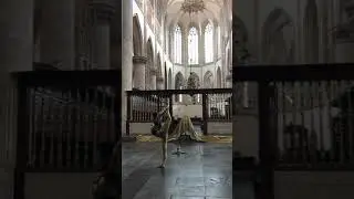 Golden Arrow Contortion Act