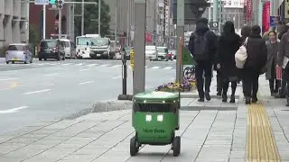 Autonomous robot takeaway delivery arrives in Tokyo