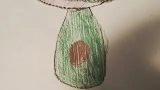 Where's the real avocado