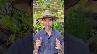 3 Ways&nbsp;To&nbsp;Garden&nbsp;Abundance&nbsp;In A Warming Climate
