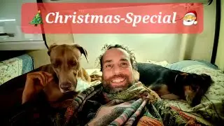 Adel all-ein zu Haus / im Van ✨ Für alle, die Heilig Abend / Weihnachten alleine verbringen