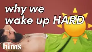 The Truth About Morning Wood: A Doctor&rsquo;s Analysis of the Morning Erection