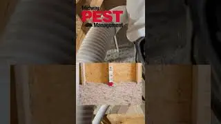 Insulation Installation in Kansas City #pestcontrol #kansascity #wildlife
