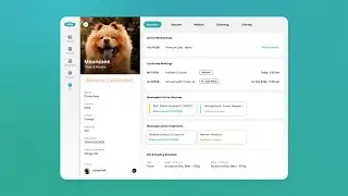 Streamline your pet business operations with Collar