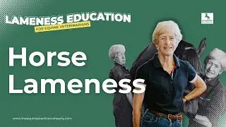 Horse Lameness: Causes, Symptoms, and Diagnosis Guide