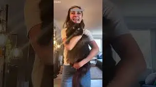 Cute Animals 😼 Funny Cat Videos 😹 # #7568