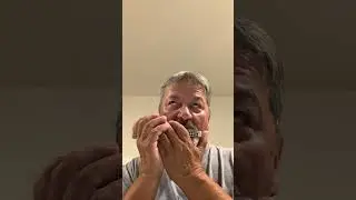 JOHN DENVER Medley ON HOHNER ECHO HARP