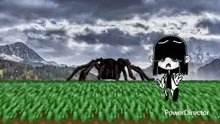 Tarantula run!
