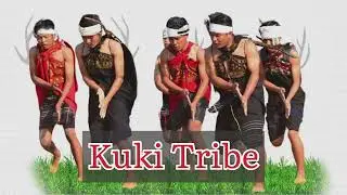 Salu Lam ( Kuki Traditional Dance) | Phaipijang Village | Nagaland. @jeffryvlognl0795 @FitDanceTV
