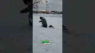 Adorable Pup Struggles: Can He Overcome the Obstacle? #shorts