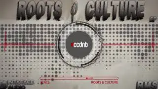 R.M.S. - Roots & Cluture (Intaface Audio)
