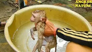 Axel scream and cry loudly like baby while he taking bath | Angkor Nature