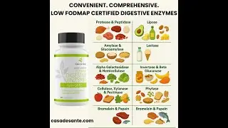 digestive enzymes