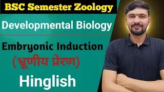 Embryonic Induction | Developmental Biology | Bsc Semester || By Dadhich Sir