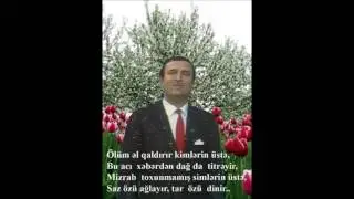 Məmmədbağır Bağırzadə.Ey Serivan.Gəncə toyu, 1976-ci il