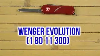 Распаковка Wenger Evolution 1 80 11 300