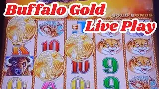 Buffalo Gold Collection Live Play