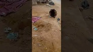 collect raw materials🙂