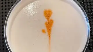 c&oacute;mo preparar un buen sour cocktail con rum #bumbu Rum