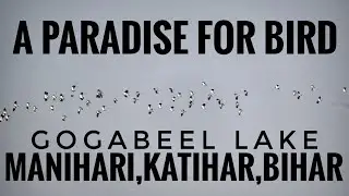 Gogabeel Lake : A Paradise For Bird #gogabill #communityreserve #birds #lake #wetland #communitylake