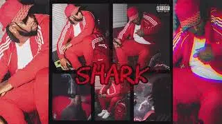 Track The Cloud - Shark Business Ft Stackboi Ty (Official Visualizer) #SharkEp