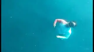 Swim with Sardines at moalboal