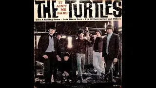 THE TURTLES -  Let The Cold Winds Blow