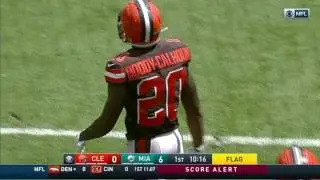 Ryan Tannehill Hits DeVante Parker for Leaping TD Grab! | Browns vs. Dolphins | NFL