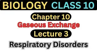 Respiratory Disorders | Class 10 Biology | Chapter 10 Gaseous Exchange | Lecture 3