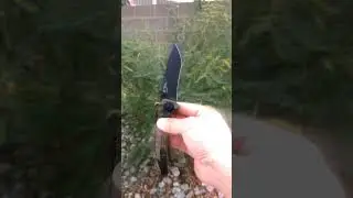 🗡New Knife Day!! #shorts #everydaycarry