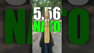 Стандартные служебные винтовки Южной Кореи