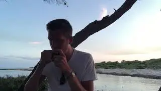 Let's stick together (Bryan Ferry) harmonica tab (diatonic key of A)