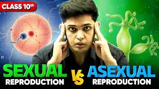 Sexual vs Asexual Reproduction?! 😱 | Class 10 Science | How Organisms Reproduce