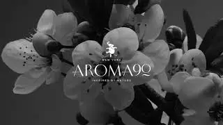 AROMA 90 - FRAGRANCE SOLUTIONS