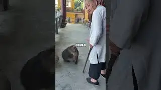 Silly monkey🐒