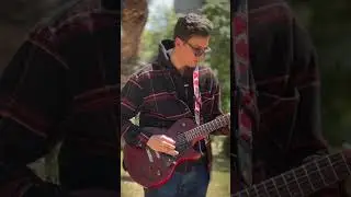Raina rai - ya zina (guitar cover) #guitar #guitarsolo #algerie #viral #music #cover
