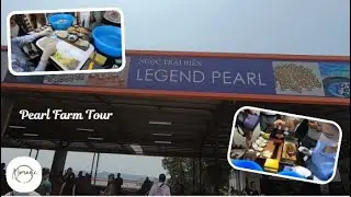 Day tour I Legend Pearl (Ha Long Bay, Vietnam) I Pearl Farm I Ngoc Trai Legend Pearl Showroom