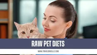 Raw Diets for Dogs & Cats: What&rsquo;s Hype vs. Helpful