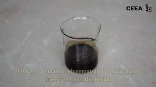 SUCROSE DEHYDRATION WITH CONCENTRATED SULFURIC ACID