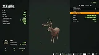 Don't Trust The M1!! | The Hunter Call of The Wild