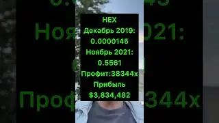Криптовалюта и ее возможности,финансовая независимость #крипта #крипто #crypto #hex #altcoin #gem