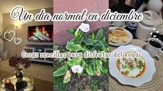 🏠 Un día normal para disfrutar del hogar y ser feliz con lo simple💞