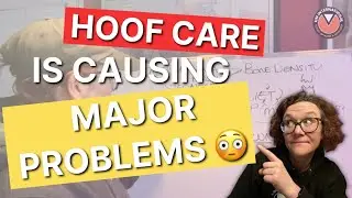 Почему люди отправляют лошадей в могилу? (Потеря костной ткани копытной кости)