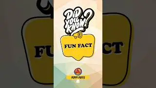 Fun Facts About the World That Will Blow Your Mind!
