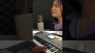 Style korg pa50